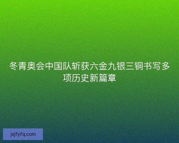冬青奥会中国队斩获六金九银三铜书写多项历史新篇章