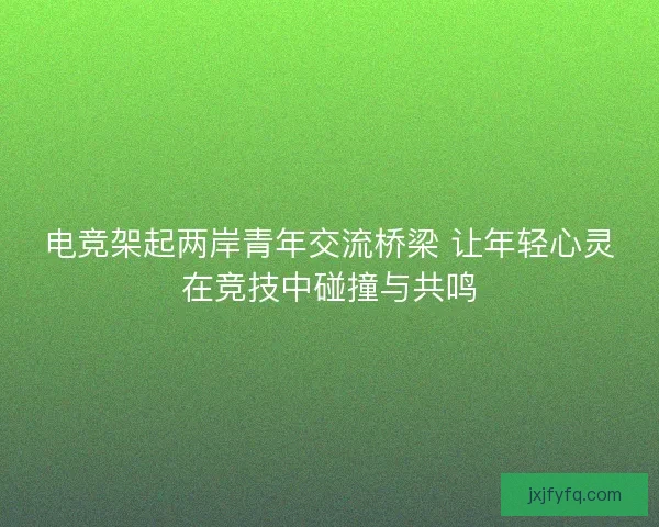 电竞架起两岸青年交流桥梁 让年轻心灵在竞技中碰撞与共鸣